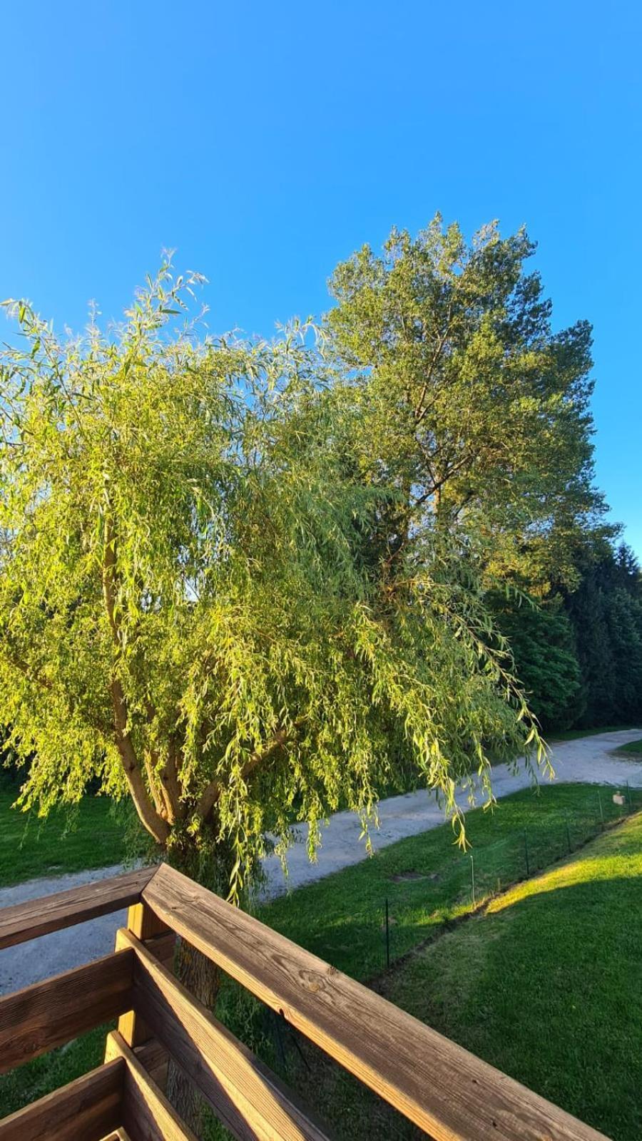 Nods Sous Le Saule 아파트 외부 사진